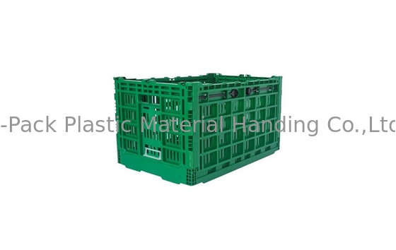 ลังพลาสติกพับได้สีเขียวขนาดใหญ่สำหรับผักผลไม้ Virgin PP Material