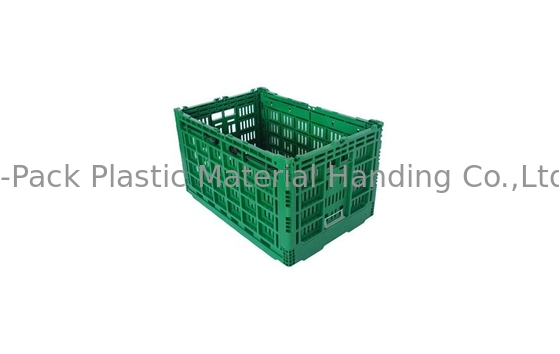 ลังพลาสติกพับได้สีเขียวขนาดใหญ่สำหรับผักผลไม้ Virgin PP Material
